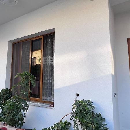 David Guesthouse Shkodra Kültér fotó